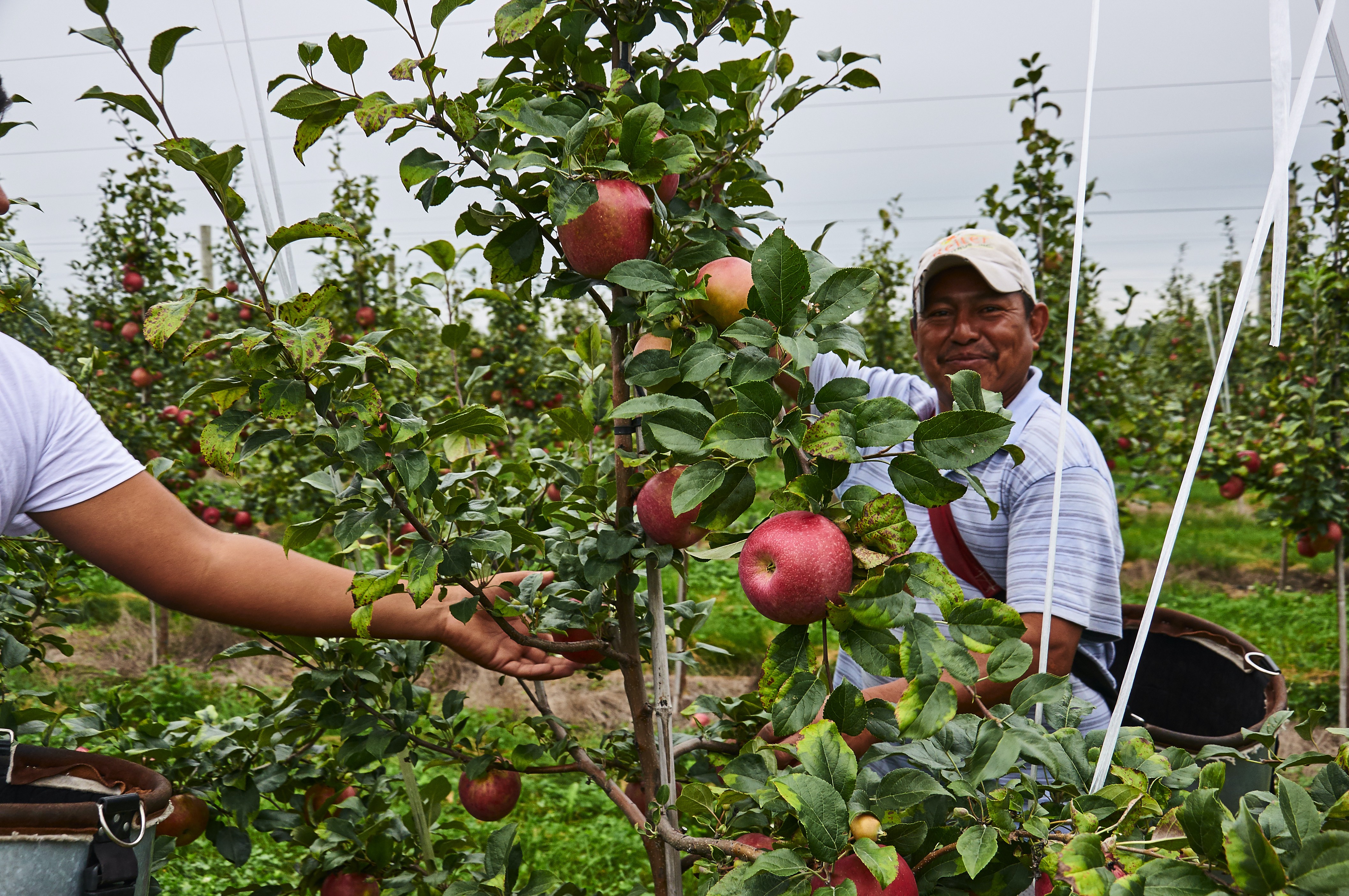 Growing with our communities
